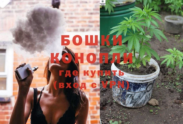 PSILOCYBIN Алзамай