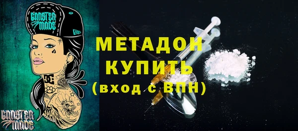 PSILOCYBIN Алзамай
