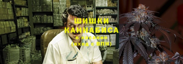 PSILOCYBIN Алзамай