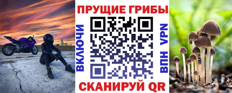 Галлюциногенные грибы Cubensis  где продают наркотики  Обоянь 